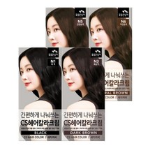 꽃을든남자 간편하게 나눠쓰는 CS 헤어칼라 4종, N1 흑색, 1개