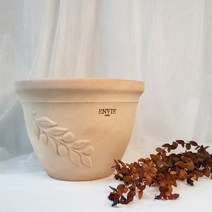 베트남토분 올리브 실내화분 홈가드닝 인테리어 앙비까사 ENVIE CASA, 19 cm, 1개