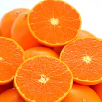 인피솔 제주 레드향 천혜향 한라봉 설 선물 세트 3kg 고당도 프리미엄 귤 가정용 선물용, 02. 천혜향 3kg