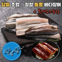 바다장어 붕장어 아나고 직접 잡아 올린 자연산 통영 산지 직송 바다장어 1kg (2~3미), 바다장어(붕장어) 1kg  2~4미(소스증정)
