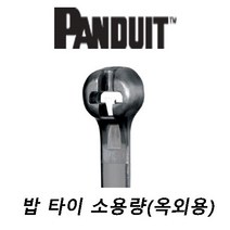 팬듀이트 밥 타이 소용량(옥외용), BT2S-C0(길이203mm폭4.7mm)