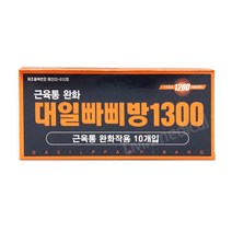 대일 빠삐방 1300 근육통 완화 자기파스 의료용 자기발생기 10개입