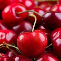 냉동 타트체리 수입과일 원물 급속냉동 500g 2개