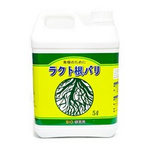 코리아하록스 락토네바리(5L) 뿌리발근