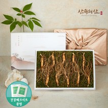 6~10년근 국내산 산양삼 산삼 산양산삼 장뇌삼 장뇌산삼, 6년근 프리미엄 10뿌리 (1상자)