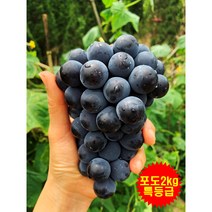 캠벨포도 포도 켐벨포도 특등급 6송이 15송이 2KG 4KG 5KG, 캠벨 포도 2kg