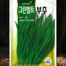 부추 씨앗 토종 그린벨트 20g 고농종묘, 1개