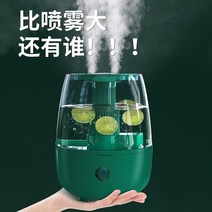 복합식 가습기 기화식 편백나무 청소안해도되는 타워형 미니 무중력 아기 완전세척 샤오미 청소편한 안방 필터없는 따뜻한 무필터 밥솥 통세척 홈쇼핑 분무량많은 세척편한, F_손잡이 - 그린