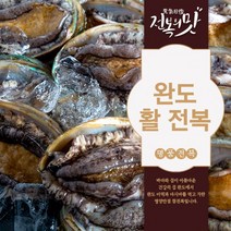 싱싱한 살아있는 완도 활전복 당일배송 산지직송 산소포장 1kg 2kg(11미-30미), 1kg(18미~20미), 1개