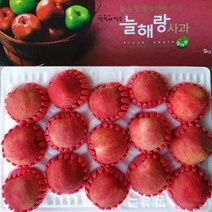 청송꿀사과 9kg(22-24과)특대-특가할인, 청송꿀사과 늘해랑 선물3호 5kg(