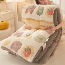 겨울 이불 차렵 이부자리 극세사 캐시미어 플러스 벨벳 두꺼운 따뜻한 두꺼운 코어 10 더블 실크