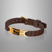 PGA TOUR 티타늄건강팔찌 스포츠실리콘밴드, 02_티타늄골드_브라운