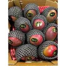 [완전달달] 페루 고당도 애플망고 4KG, 4kg 8~10알, 1개