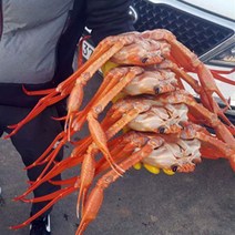 구룡포 연지 홍게 박달 홍게 1.2kg~5kg 포항 연지홍게 포항 박달홍게 자숙홍게 포항 홍게 구룡포 홍게 찜 라면용 홍게 택배, 3kg A급