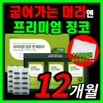 jw 중외제약 프리미엄 징코 메모리 은행잎추출물 플라보노이드 아연 고함량 홈쇼핑 집중력 인지력 혈행 기억력 개선 도움 식약처 식약청 인증 인정 공시생 수험생 부모님 직장인 영양제, 360캡슐(12개월)
