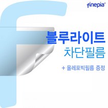 에일리언웨어 M15 R7 WP02KR 64GB램 블루라이트차단필름F