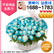(뽀빠이삼촌네) 널사랑해 장미100송이 로즈데이 당일배송 꽃바구니 특상 기념일선물 총알배송 3시간 전국배송 생일 결혼기념일 와이프 여자친구 생화 꽃다발 꽃바구니