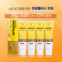 약국용 잇몸염증 잇몸질환 프리미엄 프로폴리스 치약 6box(24개입) /추석선물 기획세트 /치주염 치석 치태 /잇몸 붓고 입안 헐었을때 염증완화