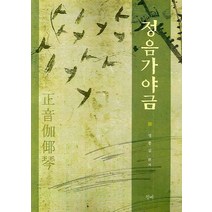 정음가야금, 청계, 정종길