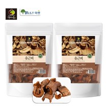 국산 느릅나무 껍질 유근피 효능 영천 코나무 왕느픕나무 유근피 뿌리 차, 2팩, 500g