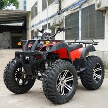 ATV 전 지형 ATV 큰 황소 4 륜 오프로드 오토바이 산 경치 엔터테인먼트의, 사륜오토바이