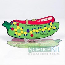 초등 과학 감긱신경 화학구조 캡사이신 책갈피 만들기 4인 방과후교실 과학기자재 교육완구 과학용품 교구