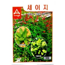 (허브씨앗종자) 세이지(50립) S2941, 상세페이지 참조