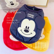 강아지 패딩 조끼 미키마우스 방한 애견 방한용품 곰 테디 옷 입체 강아지 패딩 의류, C.블루