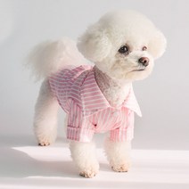 딩동펫 강아지 스탠다드 스트라이프 셔츠, 핑크