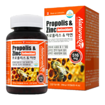 캐나다 비 프로폴리스 아연C 항산화 플라보노이드 천연항생제 폴리폴리스 면역력높이는영양제