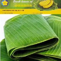 [프리미엄] 바나나잎 (Banana leaves), 1팩, 10kg