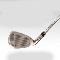 짧아서 휴대가 간편한 숏아이언용 스윙연습기 N2045, 상급자그립