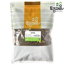 [토종마을]국산 측백엽 600g, 1개, 상세설명 참조
