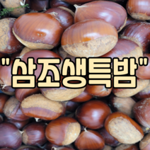 21년 햇밤 국산 공주 정안 알밤 삼조생특밤 생율 단밤 찐밤 대 특대 2kg 4kg