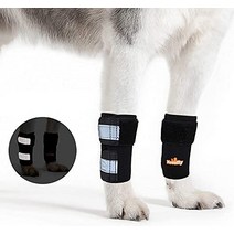 강아지 관절 영양제 관절약 보조제 NeoAlly Dog amp Cat 앞 보호대 한 쌍 손목 지지대 및 십자 인대 상처 치유 으로 인한 안정성 손실을 위한 안전 반사 스트랩 포함, [02] S/M (1 Pair), [01] 블랙.