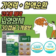 프리미엄 기억력 혈액순환 뇌 영양제 징코 식약처인증 혈행 개선 두뇌 좋은 보조제 개선제 플라보노이드 50대 60대 70대 중년 노년 부모님 어르신 노인 청소년 수험생 중년 노년
