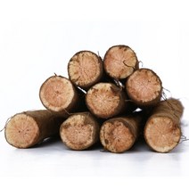 22년 수분팡팡 국내산 햇 우엉 2kg (반찬용), 단품