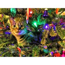 타워팰리스 고양이섬 크리스마스 트리 고양이 인쇄 11CT 크로스 스티치 DIY 자수 키트 DMC 스레드 공예 수공예품 수제 뜨개질 성인, HMA56266_80x100cm | 14CT Silk