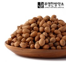 부영한방약초 햇 비자열매 비자나무열매, 600g 2개