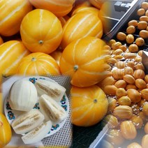 베리타임 고당도 참외 2kg 3kg 5kg 10kg 키로 알찬 꿀 참외 프리미엄 명품 가정용 정품 선물용 조천 농협 성주 상주 참외 한박스 농장, 가정용 5kg(8~13과) 대과