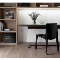 가정용 소형금고 사무실 금고추천 작은금고 서류금고, 열쇠가 없는 모델 25CM커피 골드WIFI 모