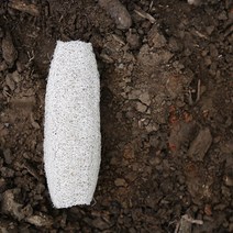 리네드 국산 유기농 천연 수세미 제로웨이스트 루파 친환경 다용도, 유기농 수세미 25-35cm