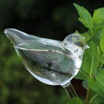 ANYOU 화분자동급수기 식물자동급수기 식물 물주기 유리제품, 10개, S(62*97*177MM)