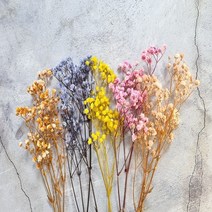 [포장용드라이플라워] 프리저브드플라워 - 컬러 안개 안개꽃, 노랑