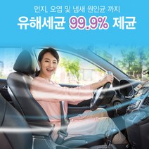 자동차 에어컨세정제 150ml 곰팡이제거 휴대용 제균 차량탈취제 차량냄새제거 히터세정제, 150ml x 1개