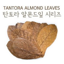 탄토라 알몬드잎 L 새우물고기 면역력강화 영양제