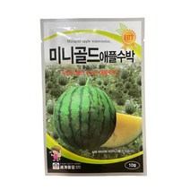 미니골드 애플수박 씨앗 10립 [23년포장] 속이 노란 애플수박 종자