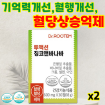닥터루템 징코앤바나바 투액션 기억력 혈행개선 은행잎 바나바잎 추출물 혈당상승억제, 2개