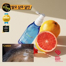 [컨텐트리] 두피얼음토닉 120ml, 2개