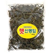국내산 강원도 정선 산뽕잎 나물 100g